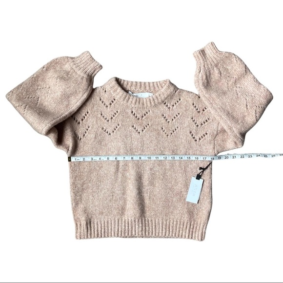 ASTR Pointelle Puff-Sleeve Sweater - Picture 8 of 11